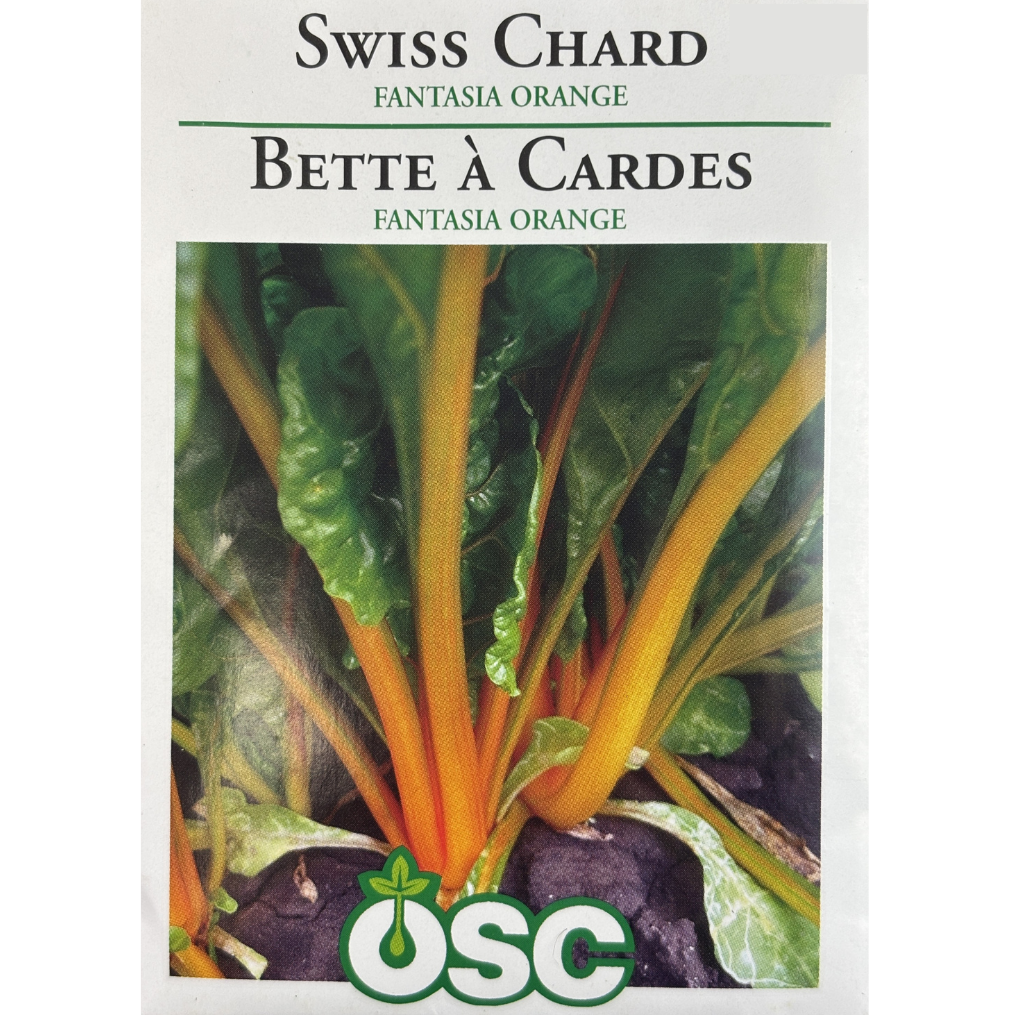 OSC Seeds Swiss Chard Fantasia Orange Pkg.