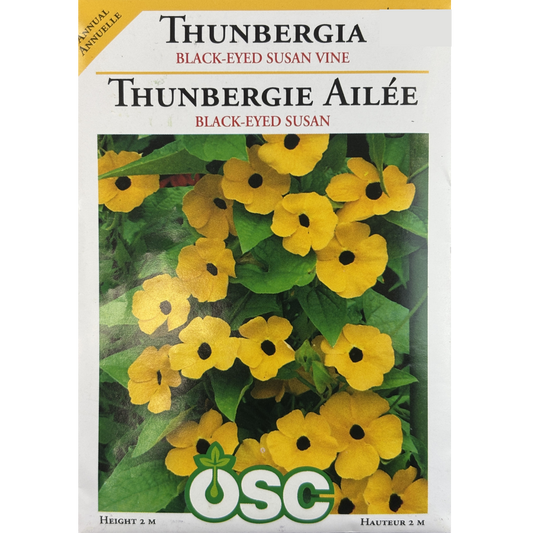 OSC Seeds Thunbergia Black-Eyed Susan Vine Pkg.