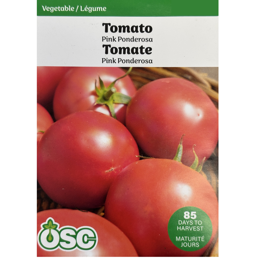 OSC Seeds Tomato Pink Ponderosa Pkg.
