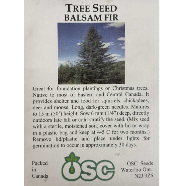 OSC Seeds Tree Balsam Fir Pkg.