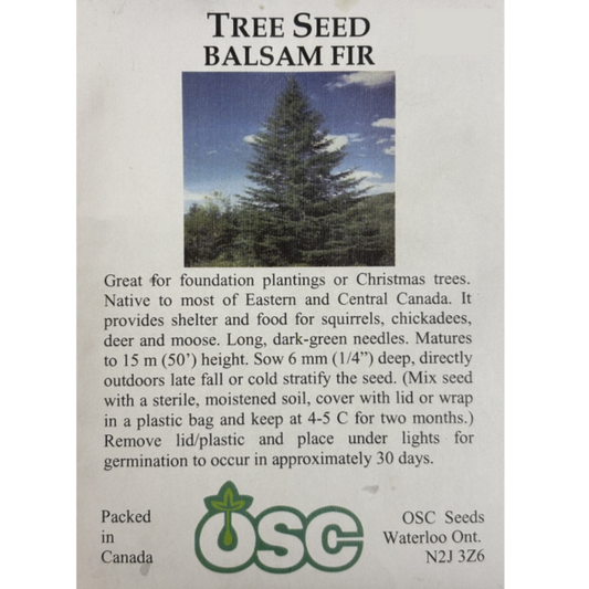 OSC Seeds Tree Balsam Fir Pkg.