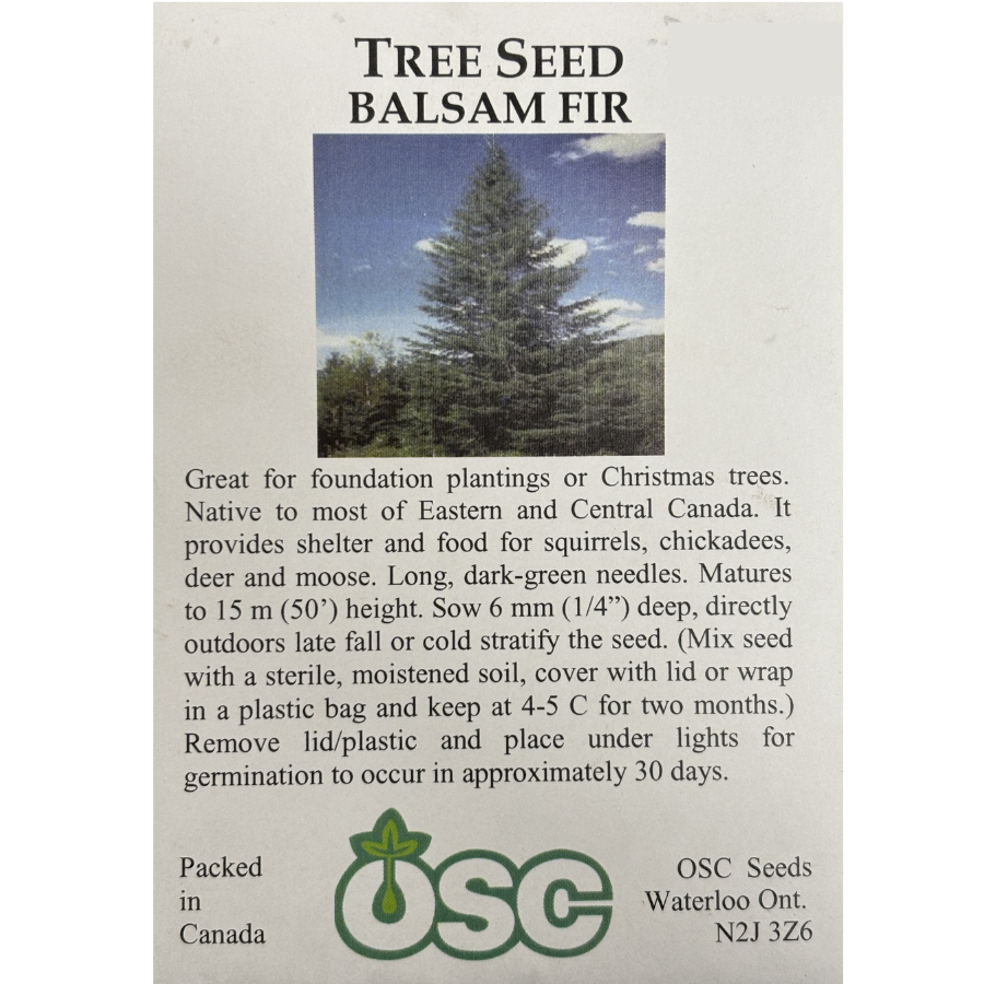 OSC Seeds Tree Balsam Fir Pkg.