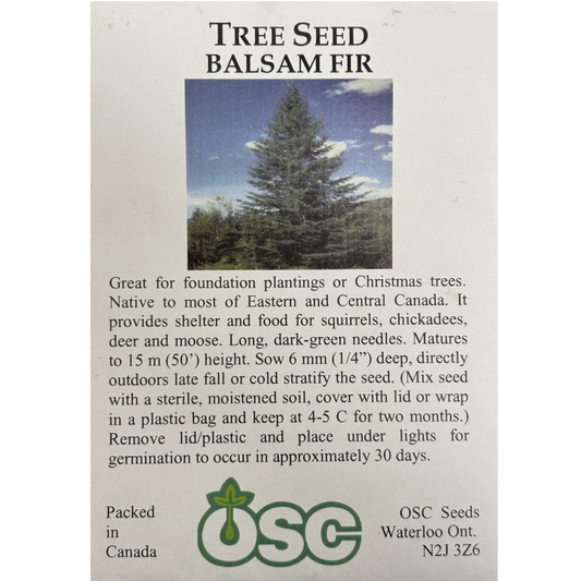 OSC Seeds Tree Balsam Fir Pkg.