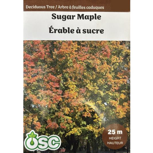 OSC Seeds Tree Maple Sugar Pkg.