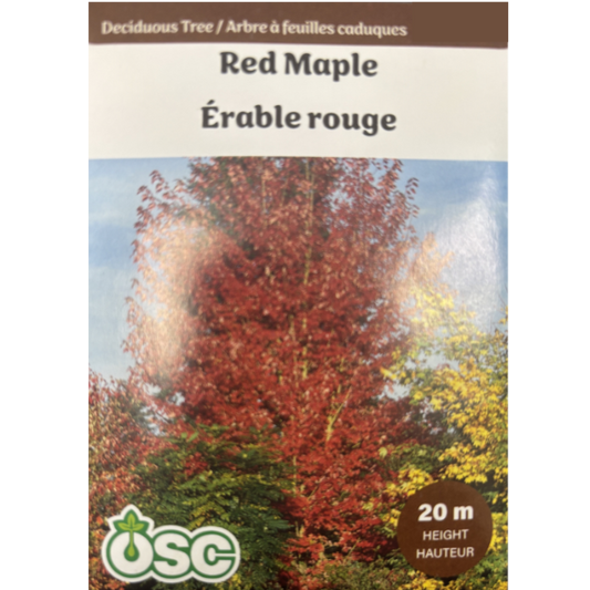 OSC Seeds Tree Maple Red Pkg.