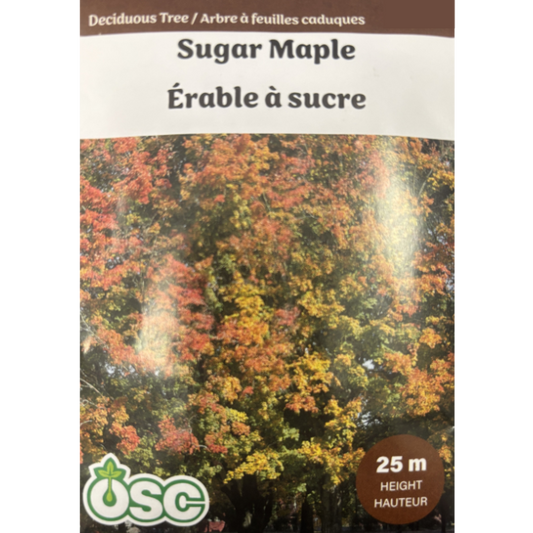 OSC Seeds Tree Maple Sugar Pkg.