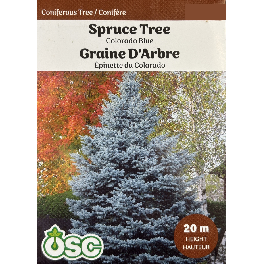 OSC Seeds Tree Spruce Colorado Blue
