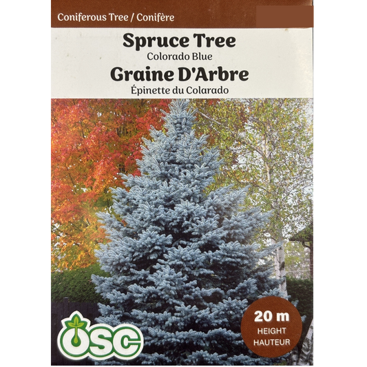 OSC Seeds Tree Spruce Colorado Blue