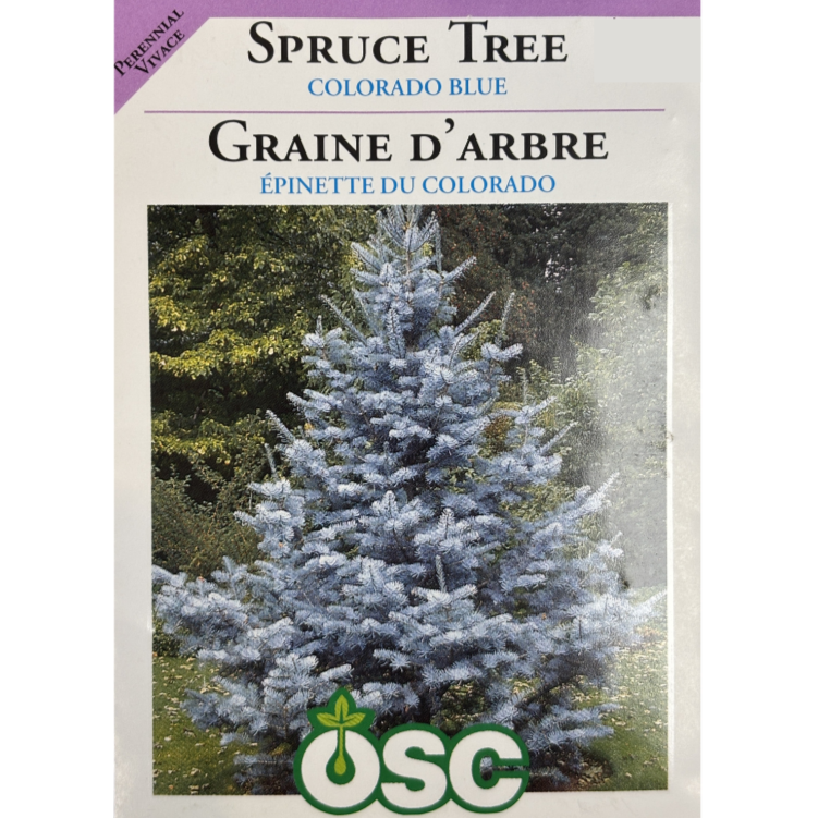 OSC Seeds Tree Spruce Colorado Blue