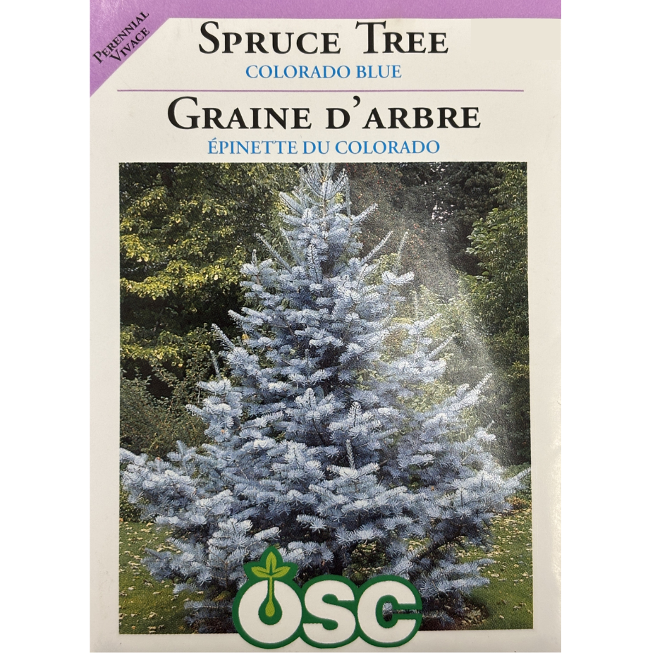 OSC Seeds Tree Spruce Colorado Blue