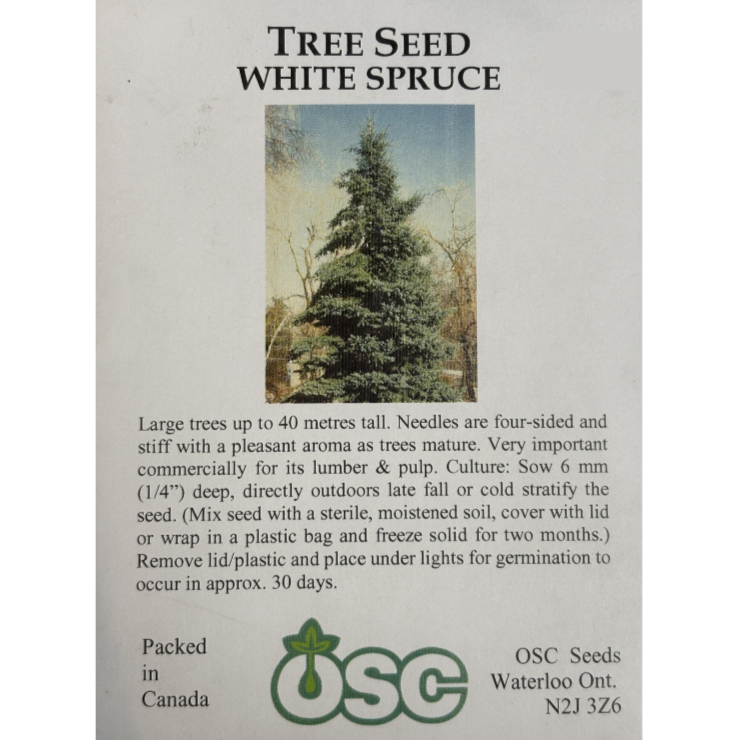 OSC Seeds Tree Spruce White Pkg.
