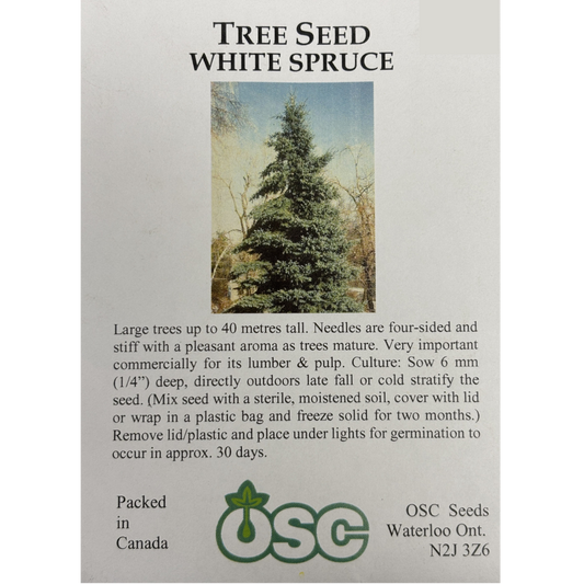OSC Seeds Tree Spruce White Pkg.