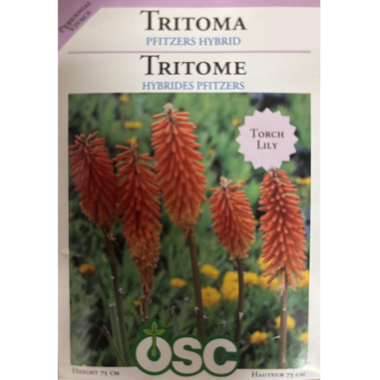 OSC Seeds Tritoma Pfitzers Hybrid Pkg.