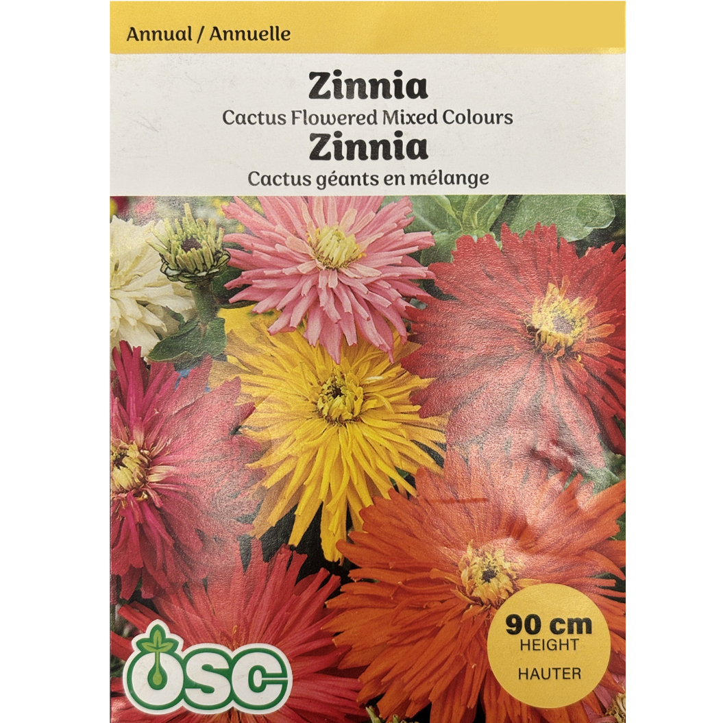 OSC Seeds Zinnia Cactus Flowered Mixed Colours Pkg.