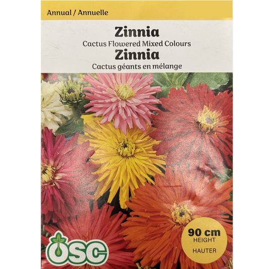 OSC Seeds Zinnia Cactus Flowered Mixed Colours Pkg.