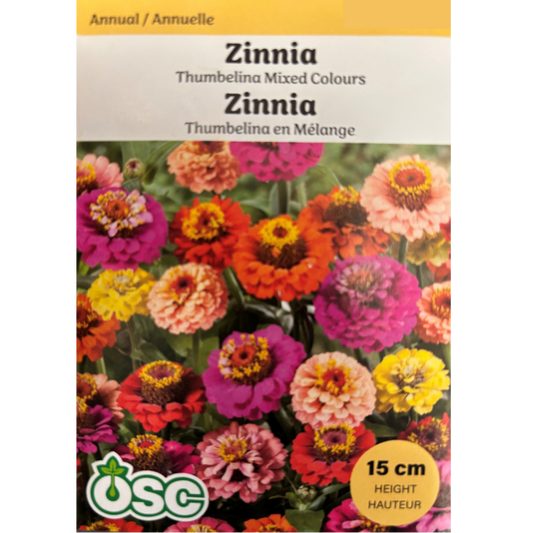 OSC Seeds Zinnia Thumbelina Mixed Colours Pkg.