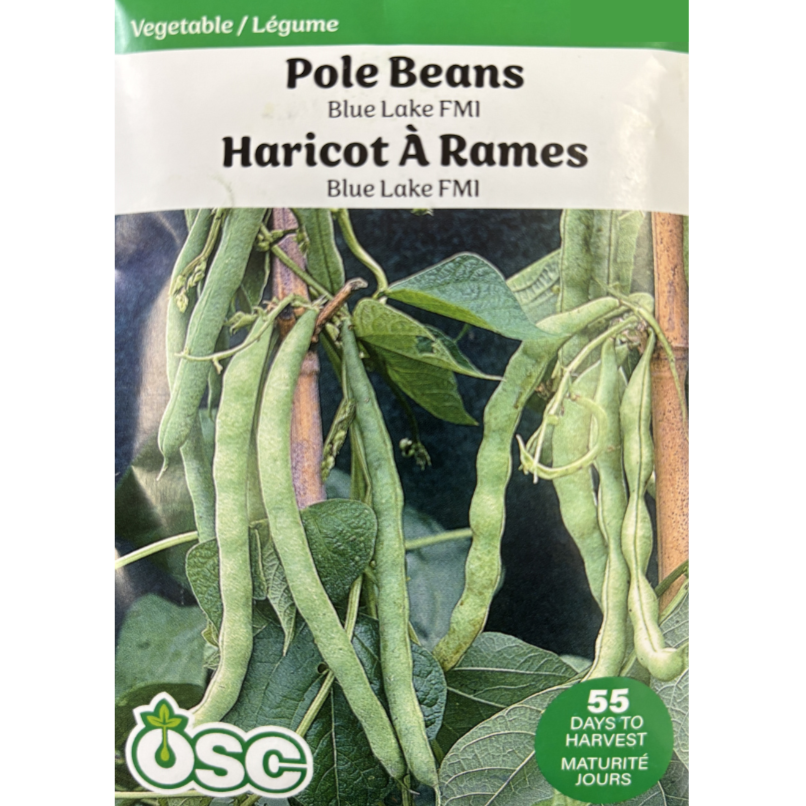 OSC Seeds Beans Blue Lake FM1 Pole