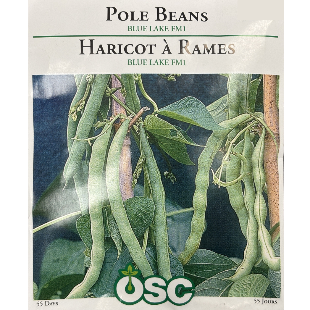 OSC Seeds Beans Blue Lake FM1 Pole