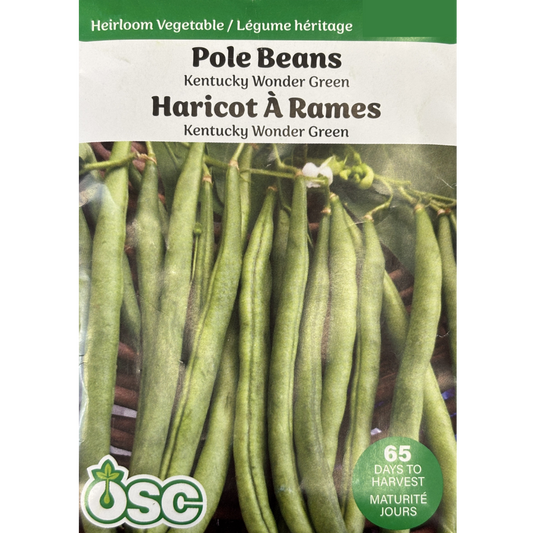 OSC Seeds Beans Kentucky Wonder Green
