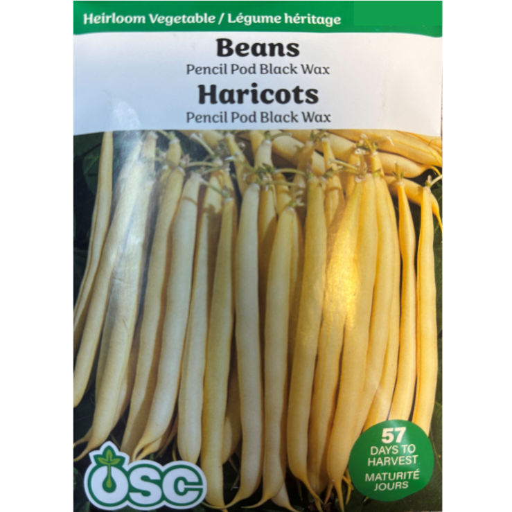 OSC Seeds Beans Pencil Pod Black Wax