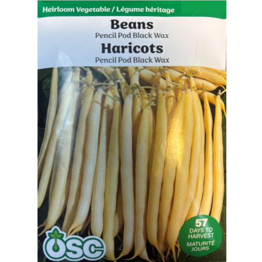 OSC Seeds Beans Pencil Pod Black Wax