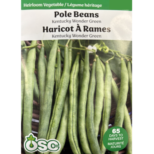 OSC Seeds Beans Pole Kentucky Wonder Green