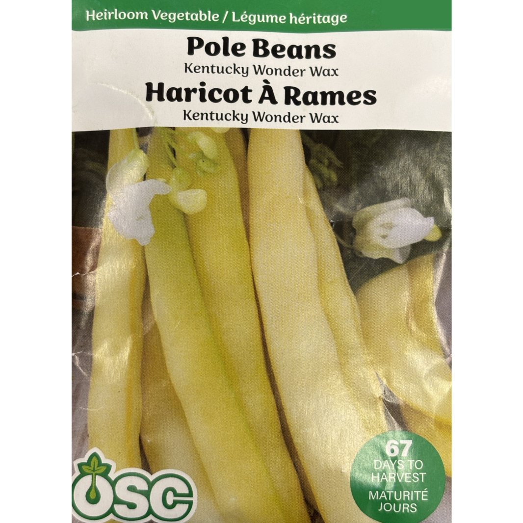 OSC Seeds Beans Kentucky Wonder Wax Pole