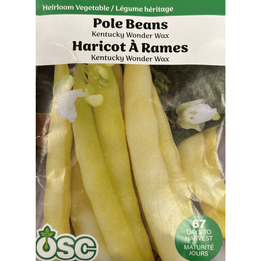OSC Seeds Beans Kentucky Wonder Wax Pole