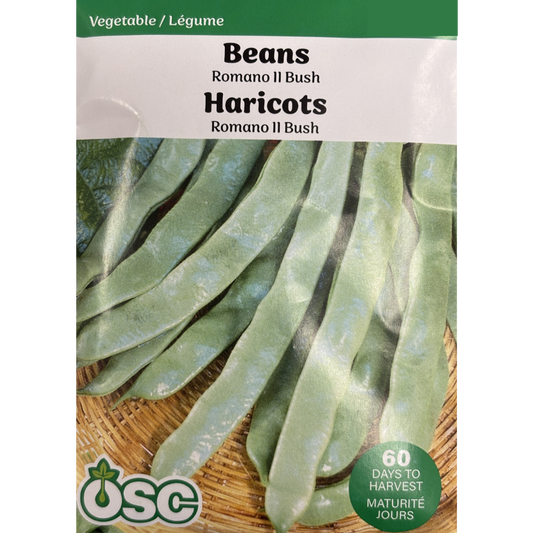 OSC Seeds Beans Romano II Bush Pkg.