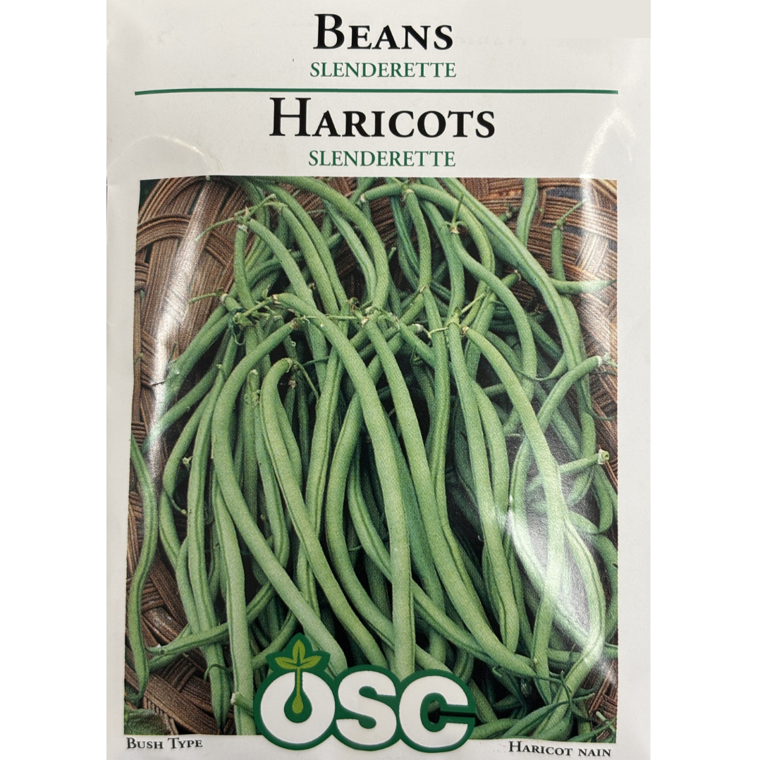 OSC Seeds Beans Slenderette Pkg.
