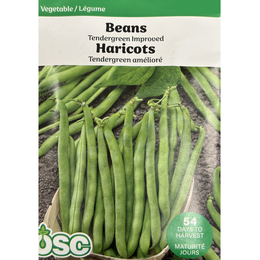OSC Seeds Beans Tendergreen Improved Pkg.