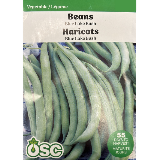 OSC Seeds Beans Blue Lake Bush