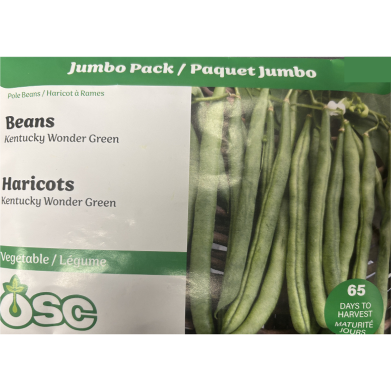 OSC Seeds Beans Pole Kentucky Wonder Green