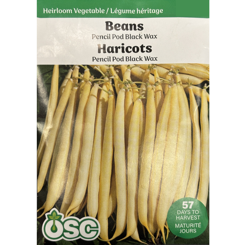 OSC Seeds Beans Pencil Pod Black Wax