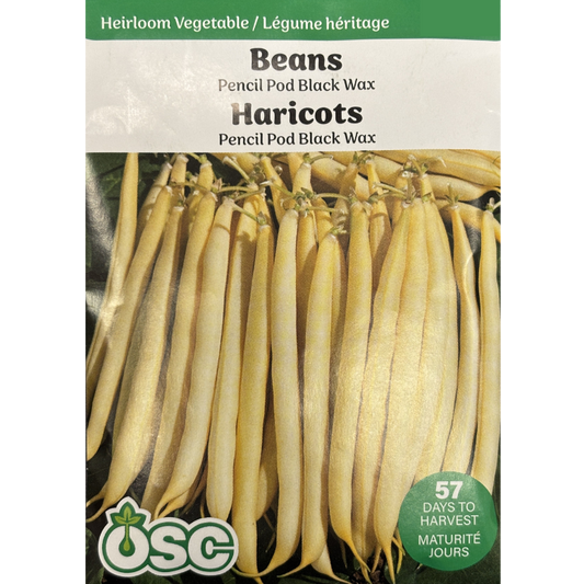 OSC Seeds Beans Pencil Pod Black Wax