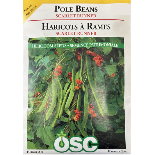 OSC Seeds Beans Scarlet Runner Pole