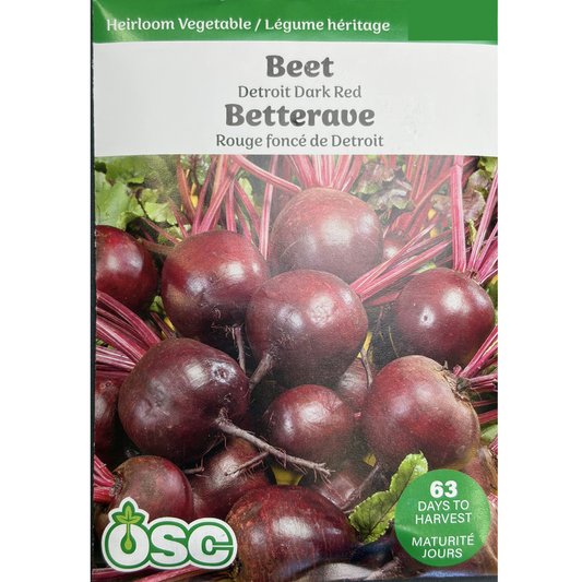 OSC Seeds Beets Detroit Dark Red Pkg.