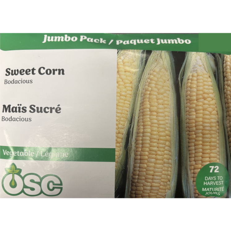 OSC Seeds Corn Sweet Bodacious