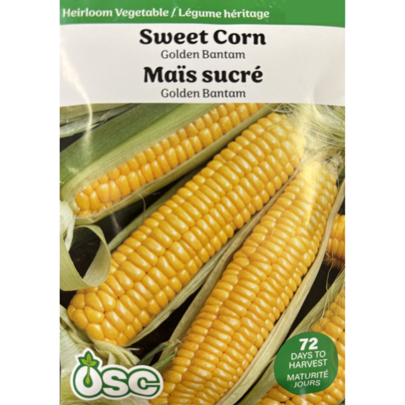 OSC Seeds Corn Golden Bantam
