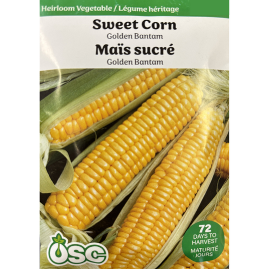 OSC Seeds Corn Golden Bantam