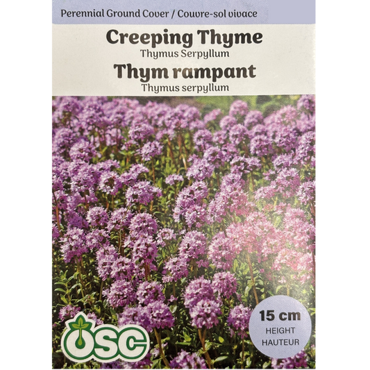 OSC Seeds Creeping Thyme Pkg.