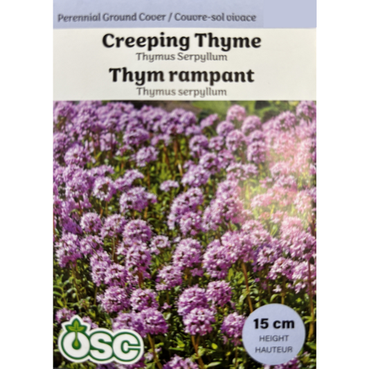 OSC Seeds Creeping Thyme Pkg.