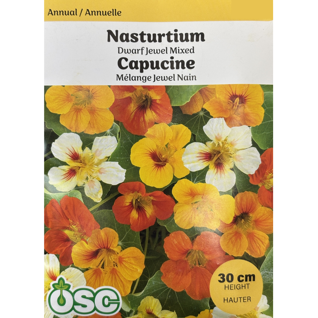 OSC Seeds Nasturtium Dwarf Jewel Mix