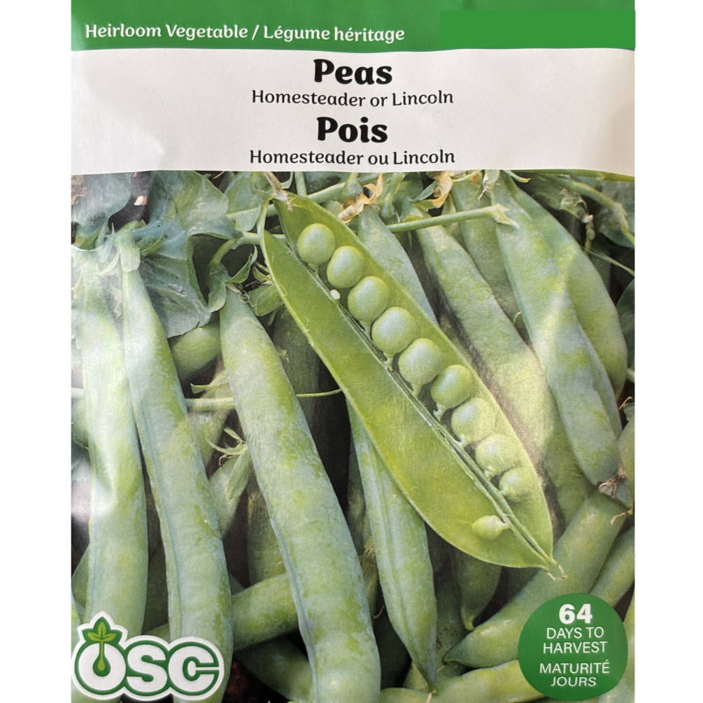 OSC Peas 'Homesteader/Lincoln'