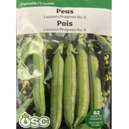 OSC Seeds Pea Laxton's Progress No.9
