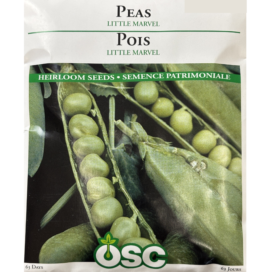 Peas 'Little Marvel'