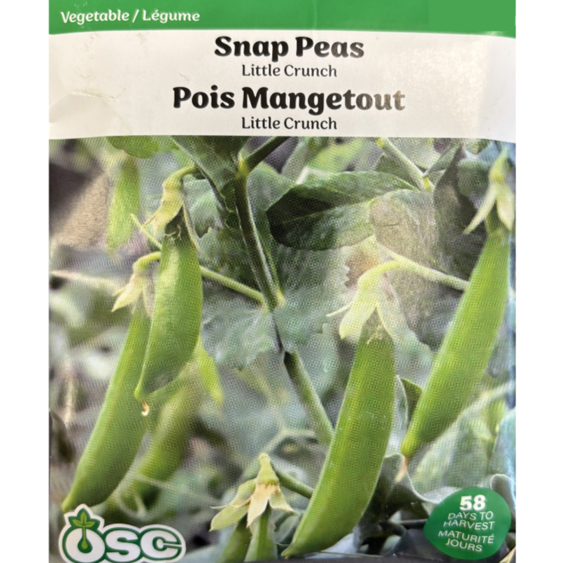 OSC Seeds Pea Snap Little Crunch