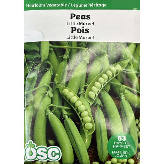 Peas 'Little Marvel'