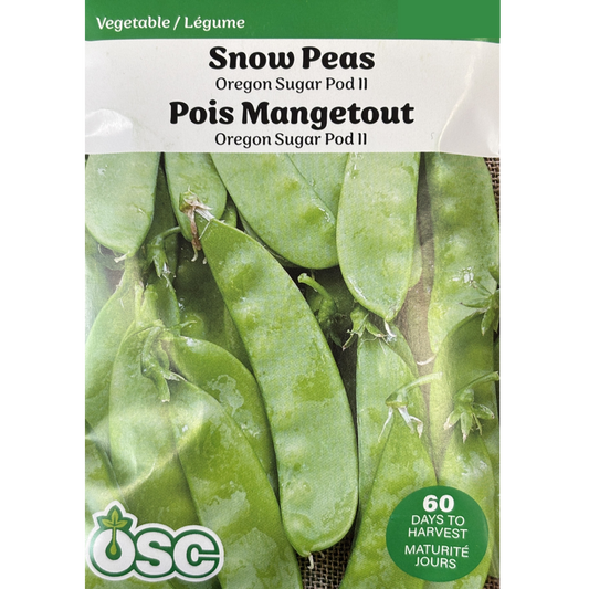 Pea 'Oregon Sugar Pod II' Snow Pea