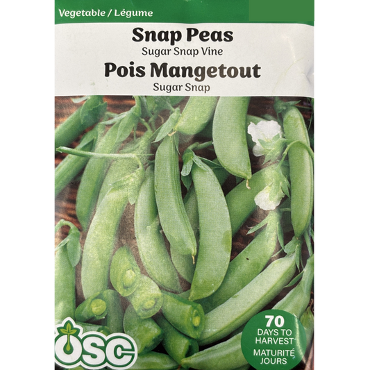 OSC Seeds Pea 'Sugar Snap'